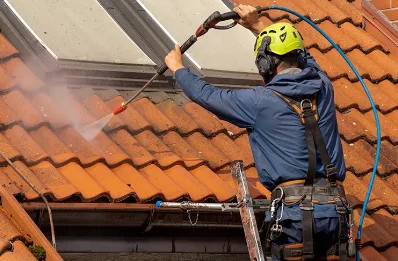 Démoussage et hydrofuge de toiture à la Grange